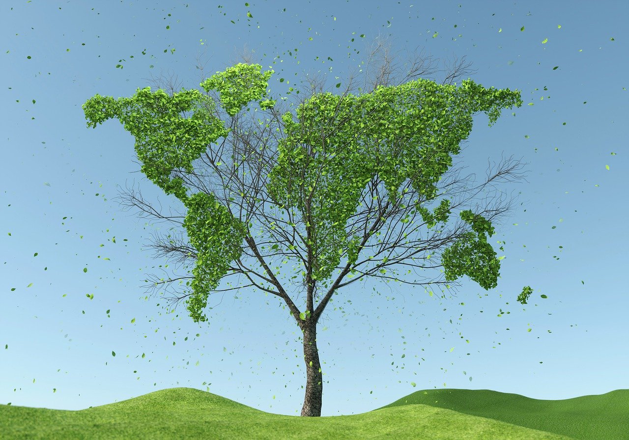 découvrez les concepts clés de la durabilité, explorez des pratiques écologiques, et apprenez comment contribuer à un avenir plus vert. engagez-vous pour un mode de vie responsable et durable.