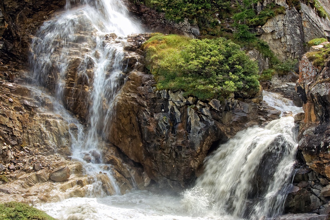 découvrez l'importance de l'environnement et les actions à mener pour protéger notre planète et assurer un avenir durable.