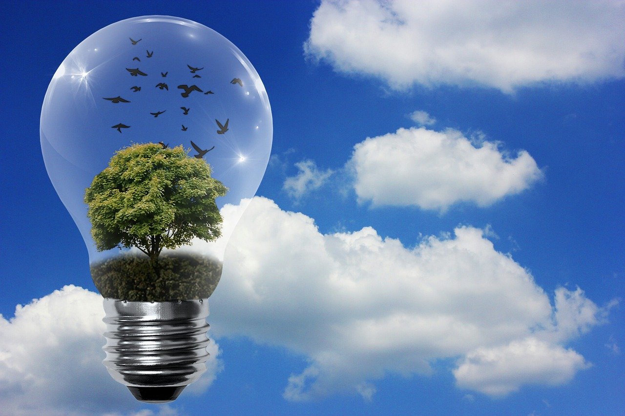 découvrez l'importance et les avantages des énergies renouvelables pour un avenir durable. explorez les différentes sources d'énergie verte, leurs applications et leur impact positif sur l'environnement.