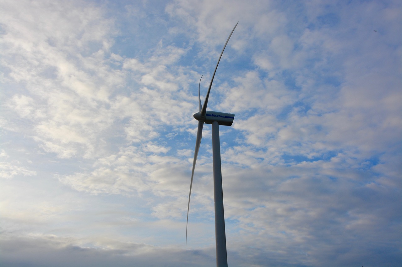 découvrez les principes du développement durable pour un avenir équilibré alliant croissance économique, protection de l'environnement et équité sociale.
