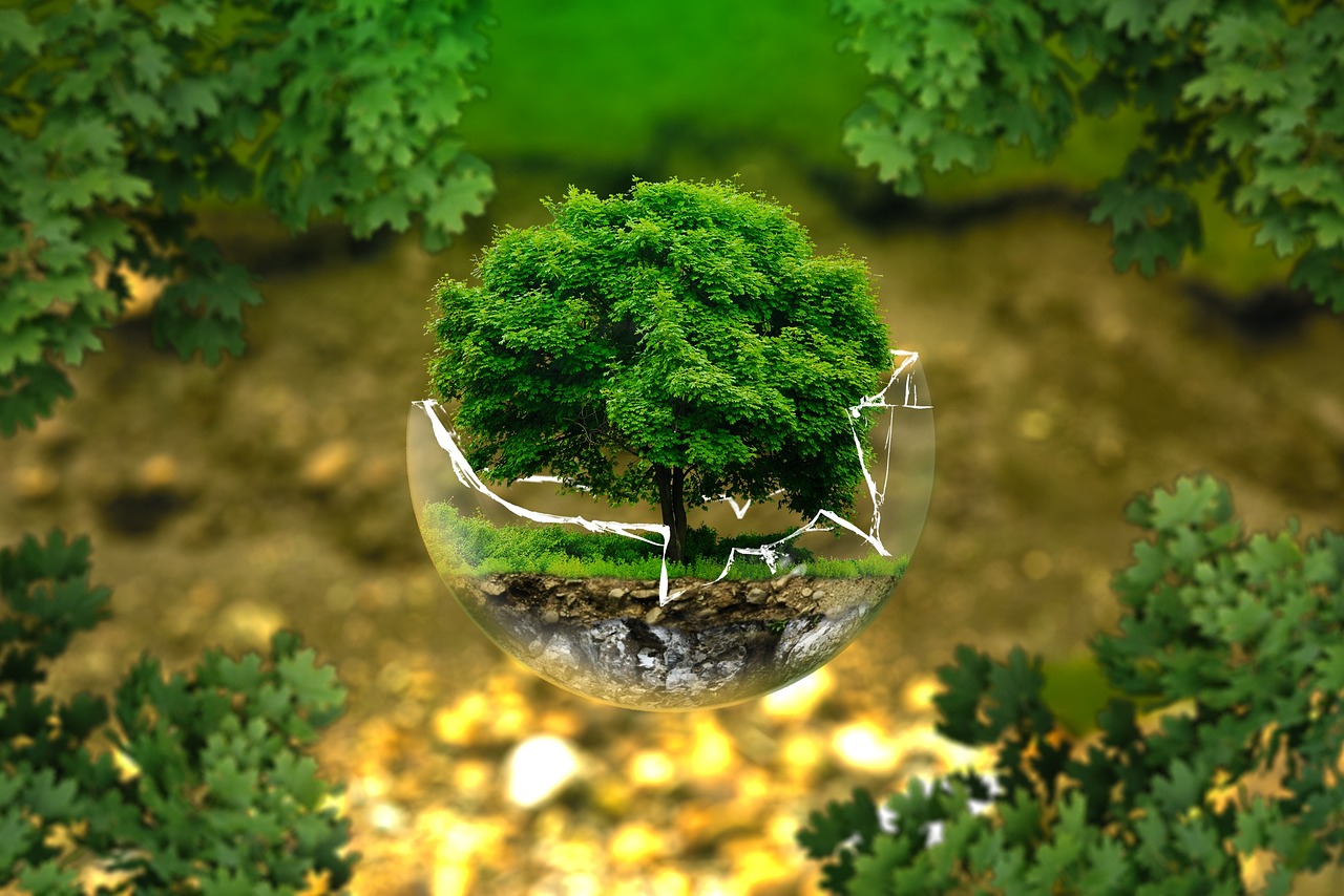 découvrez comment réussir la transition écologique grâce à des solutions durables, des conseils pratiques et des innovations pour préserver l’environnement et bâtir un avenir plus vert.