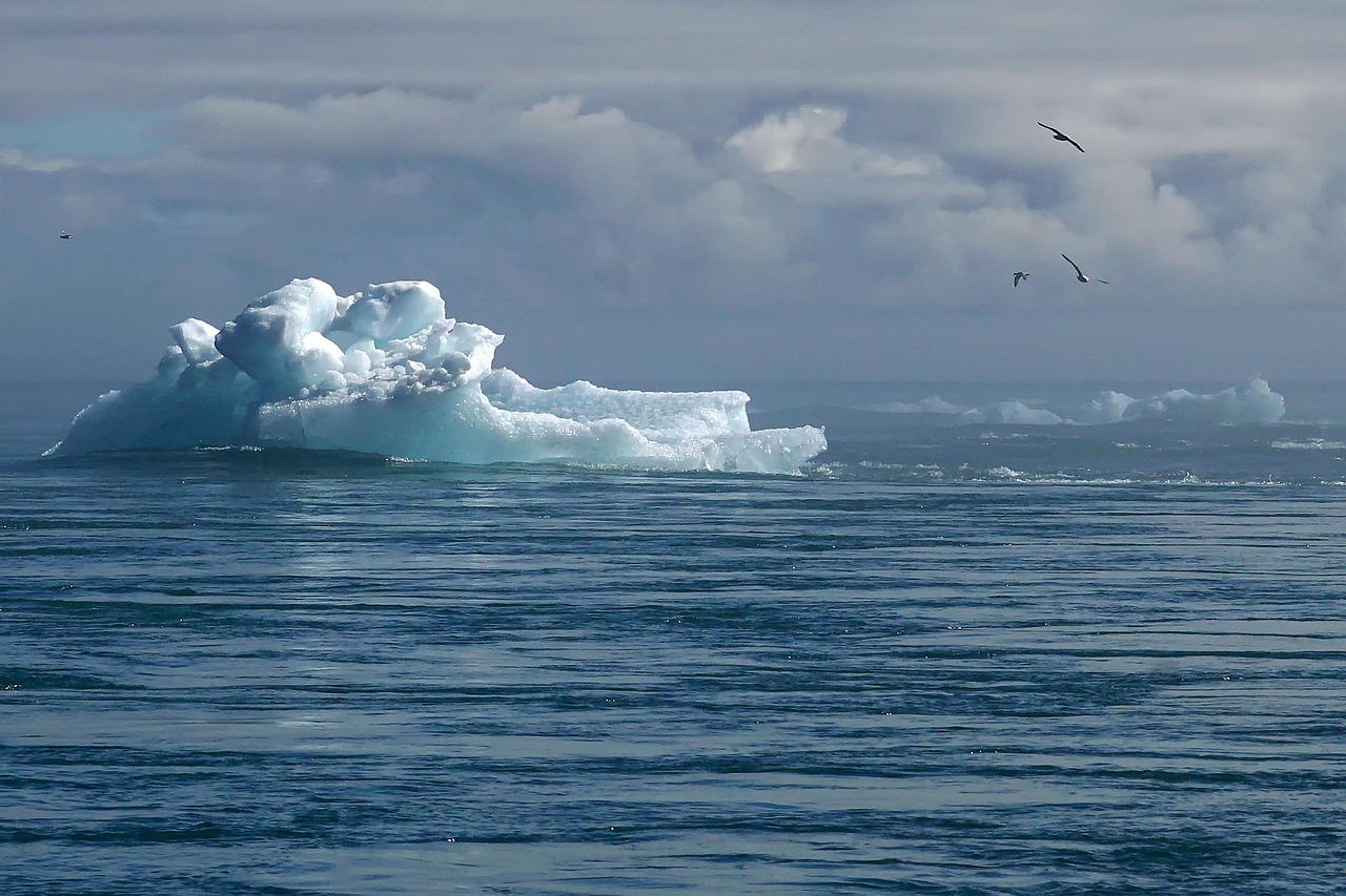 découvrez l'importance de l'action climatique, les initiatives pour lutter contre le réchauffement climatique et les solutions pour protéger notre planète. informez-vous sur les gestes à adopter et les politiques en faveur de l'environnement.