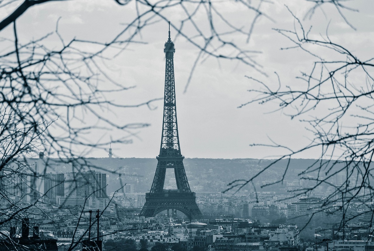 découvrez les succès écologiques majeurs qui transforment notre planète et inspirent un avenir durable.