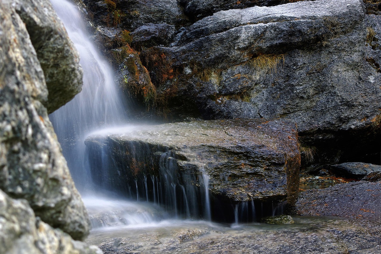 découvrez l'importance de l'environnement et comment préserver notre planète pour un avenir durable et sain.