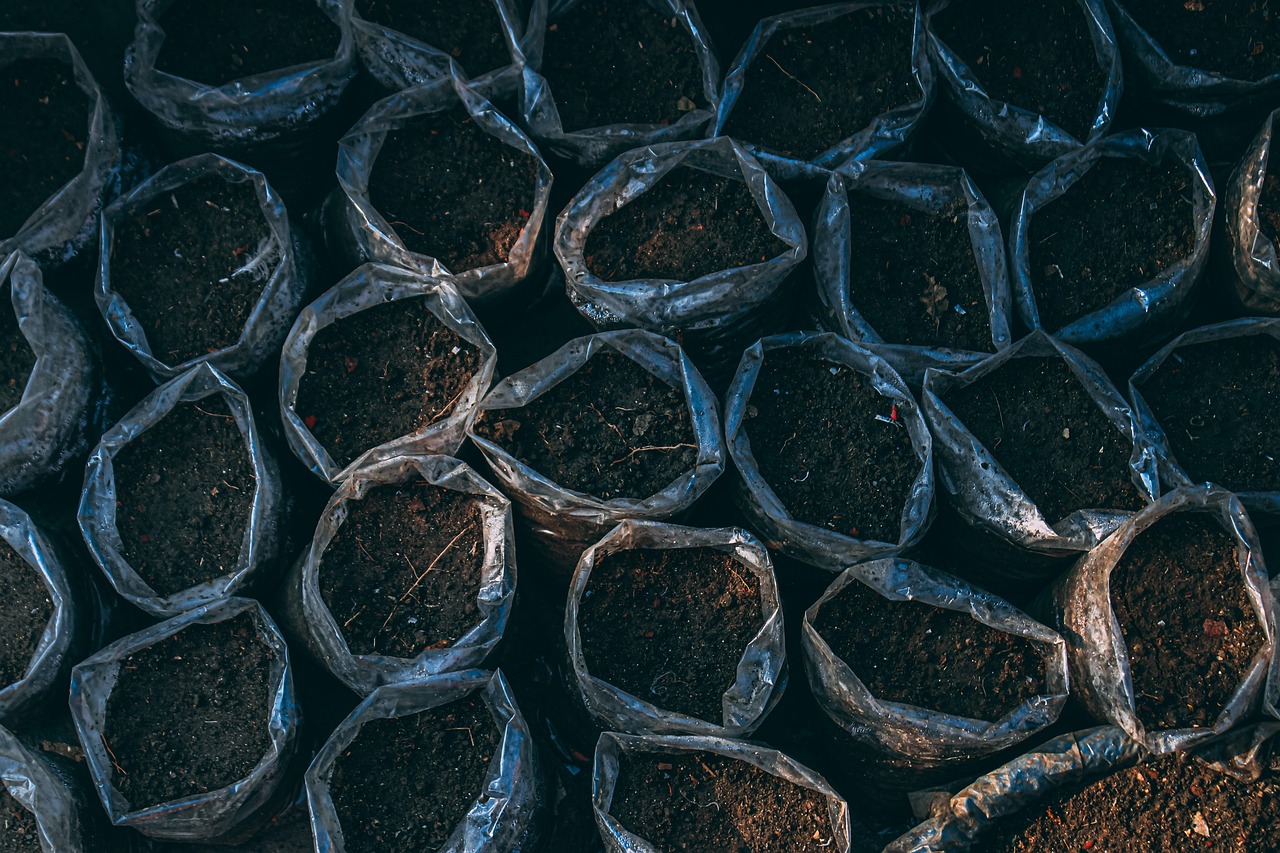 découvrez les techniques de jardinage urbain biologique pour cultiver des plantes saines et durables en milieu citadin.