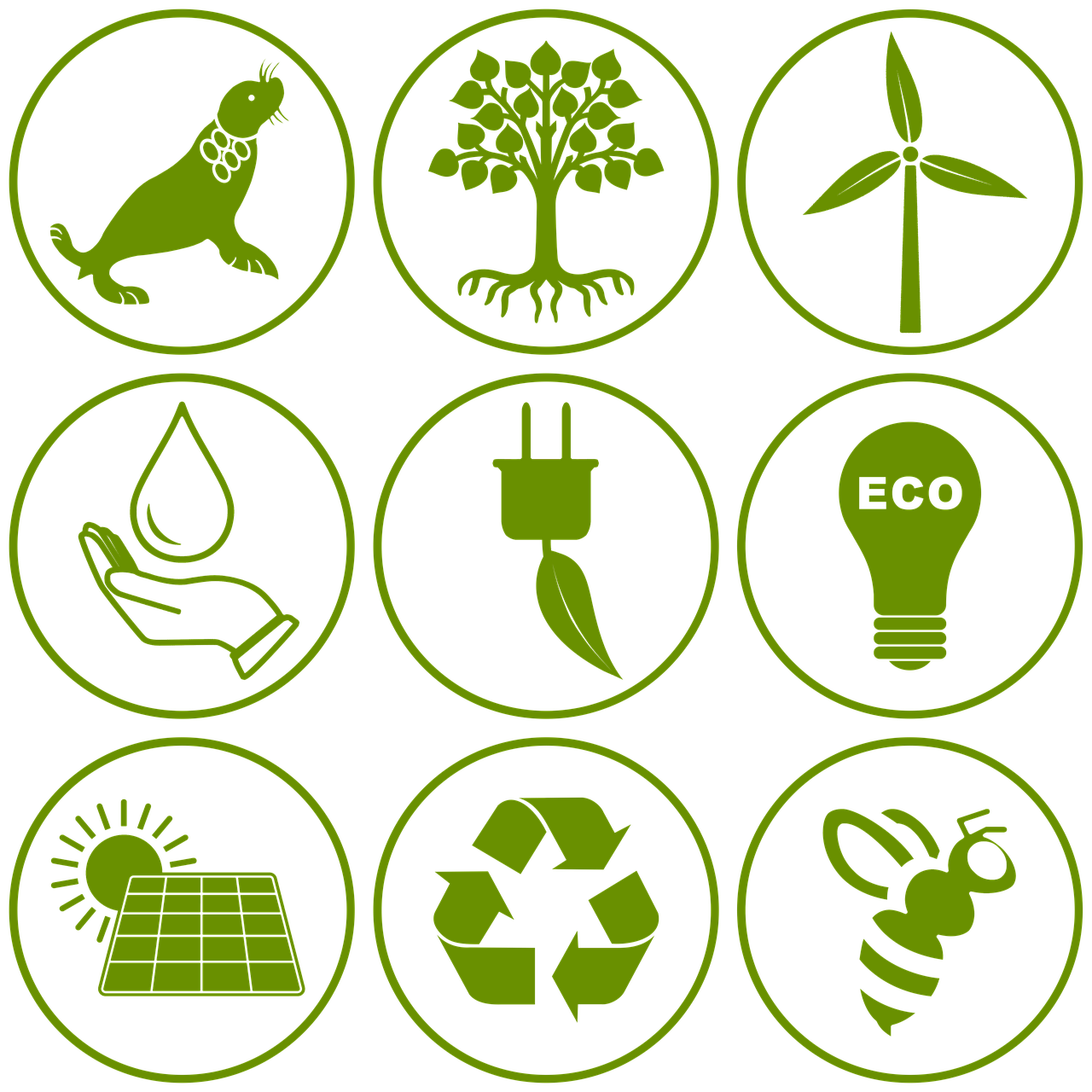 découvrez comment la durabilité numérique transforme nos pratiques en matière de technologie. explorez les stratégies pour réduire l'empreinte écologique des entreprises tout en favorisant l'innovation et la responsabilité sociale. rejoignez le mouvement vers un avenir numérique plus respectueux de l'environnement.