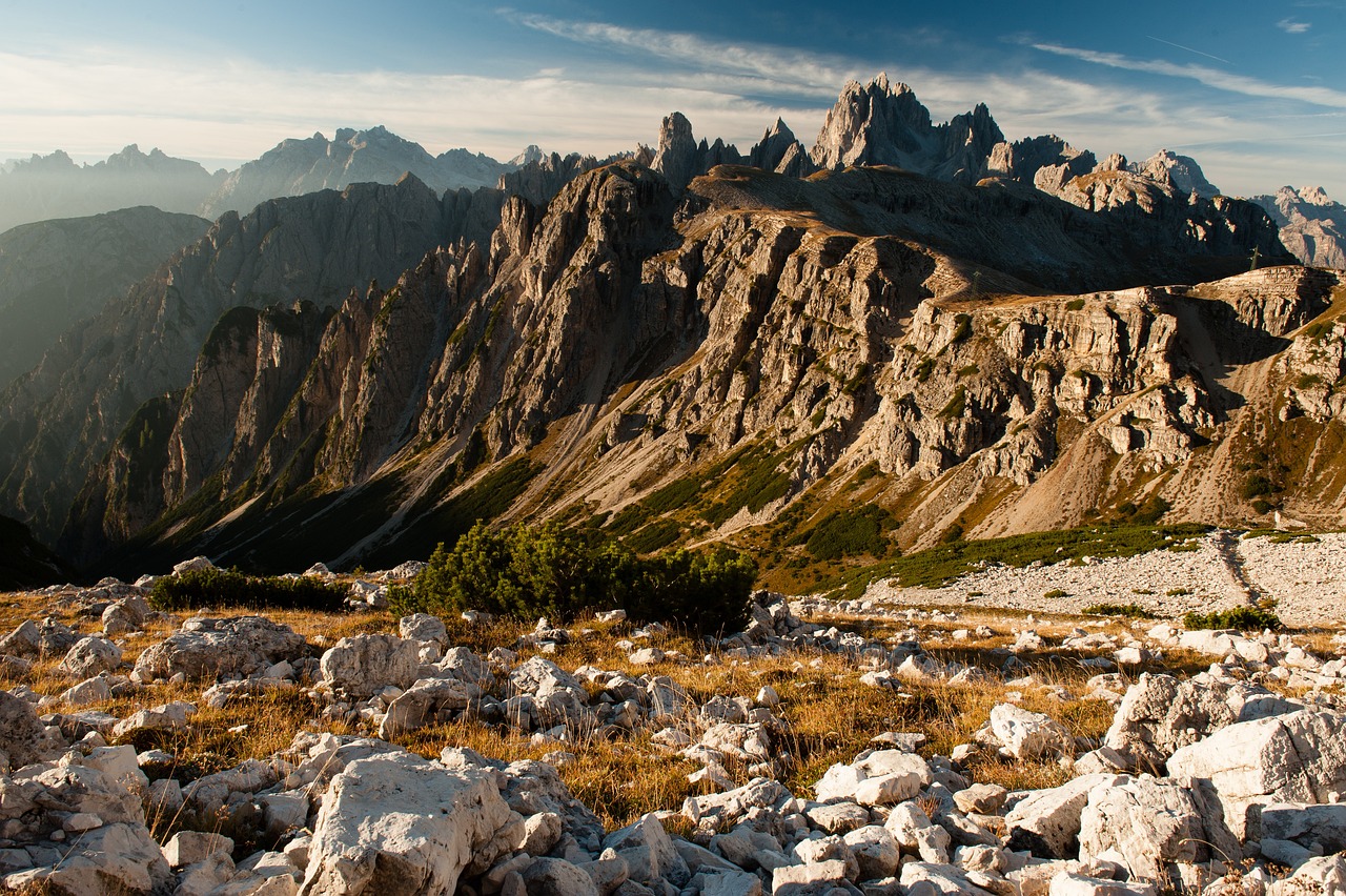 découvrez la beauté et la diversité de la nature, un monde fascinant où la faune, la flore et les paysages naturels s'entrelacent pour créer un environnement exceptionnel.