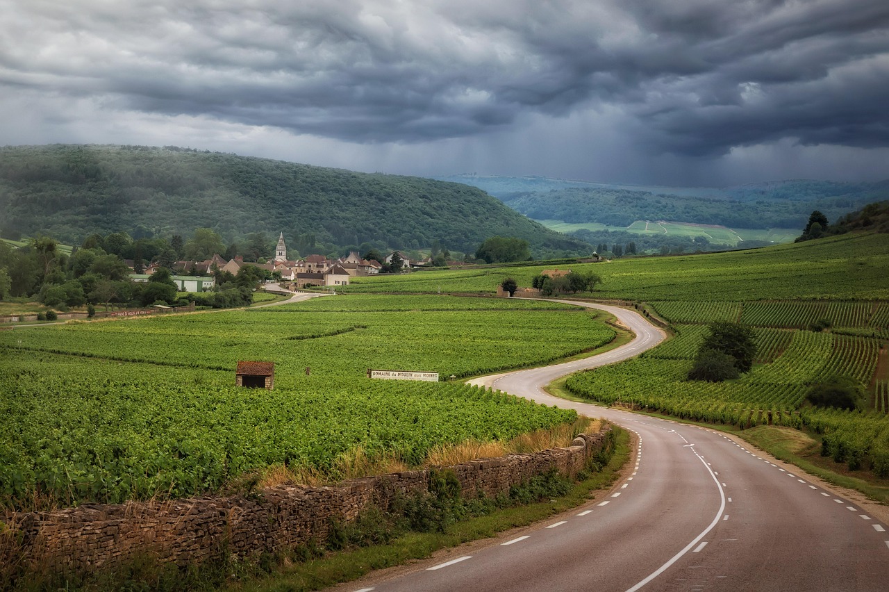 découvrez france fertilisants, votre expert en solutions de fertilisation pour une agriculture durable et performante. produits innovants et conseils personnalisés.