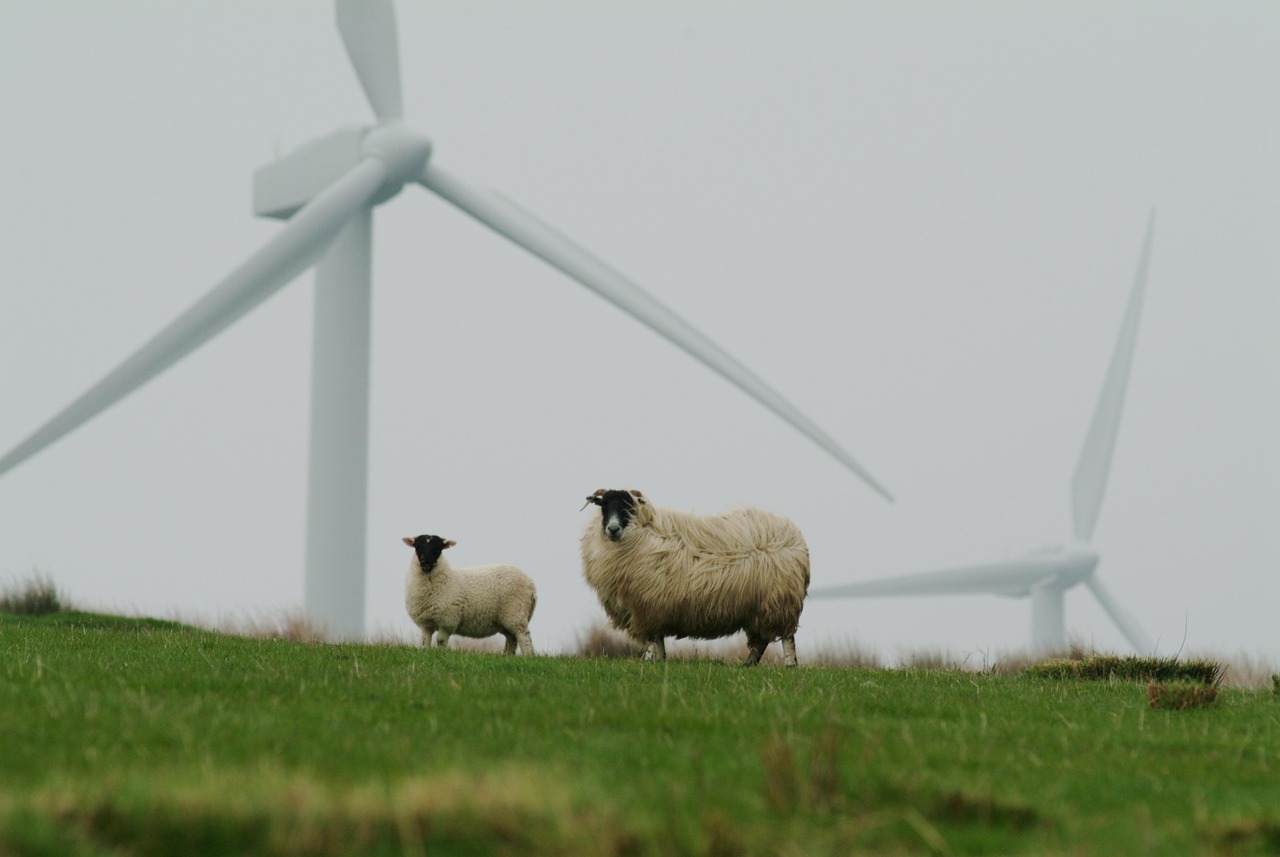 découvrez les meilleures pratiques et stratégies pour adopter un mode de vie durable et respecter l'environnement grâce à des conseils sur la durabilité.