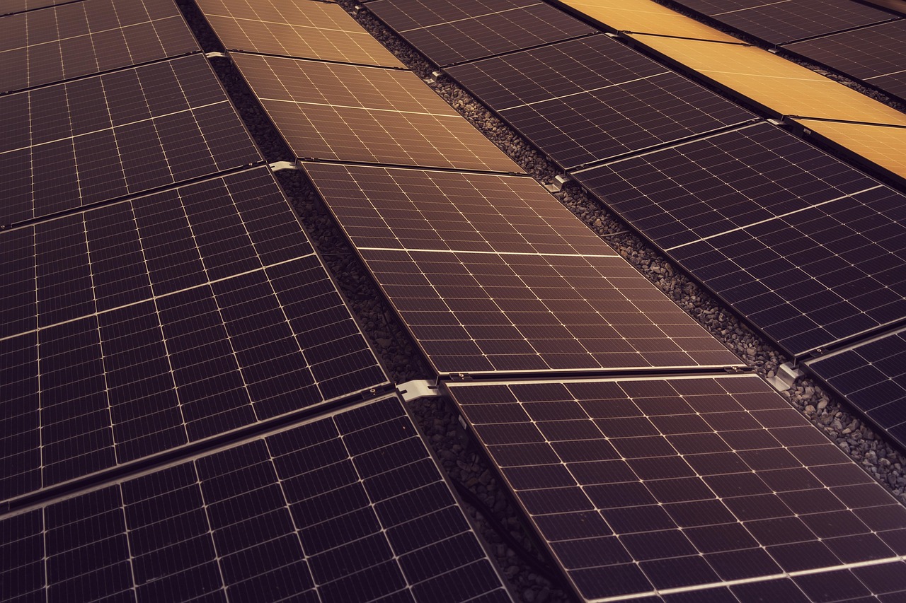 découvrez nos solutions innovantes pour promouvoir le développement durable et la responsabilité environnementale, afin de préserver notre planète pour les générations futures.