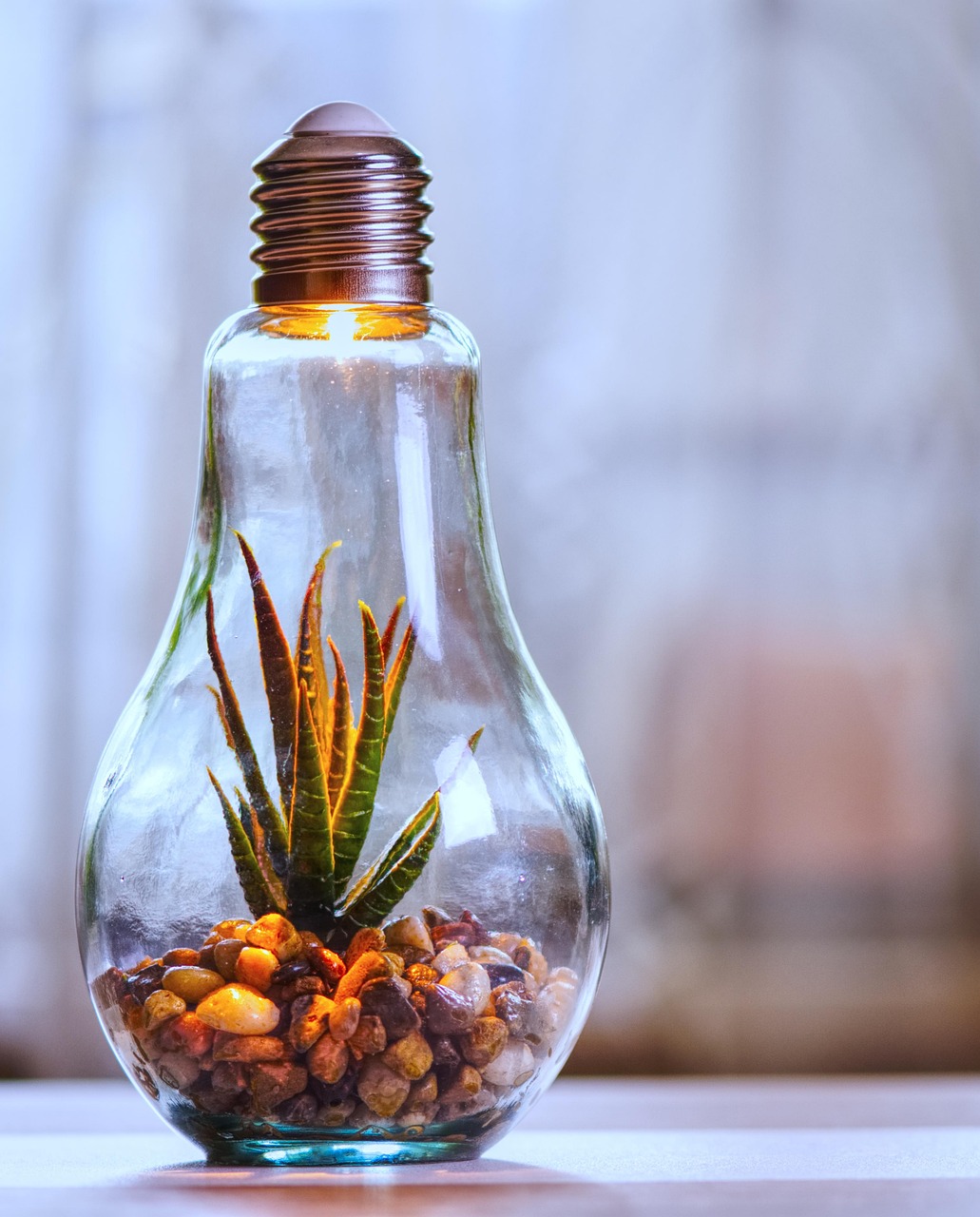 découvrez comment adopter une responsabilité environnementale au quotidien pour préserver la planète grâce à des gestes simples et des choix durables.