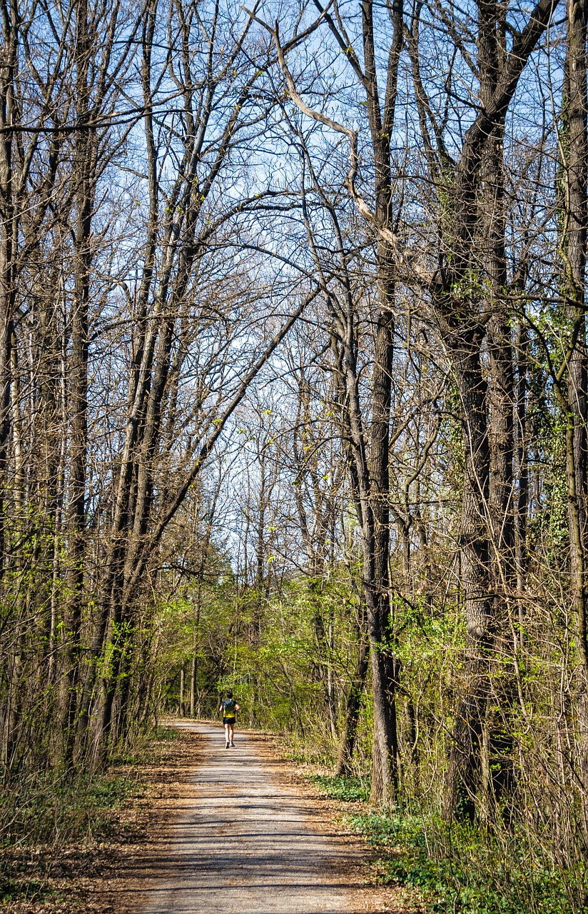 découvrez le trail running, une discipline de course à pied en pleine nature alliant dépassement de soi, aventure et paysages spectaculaires.