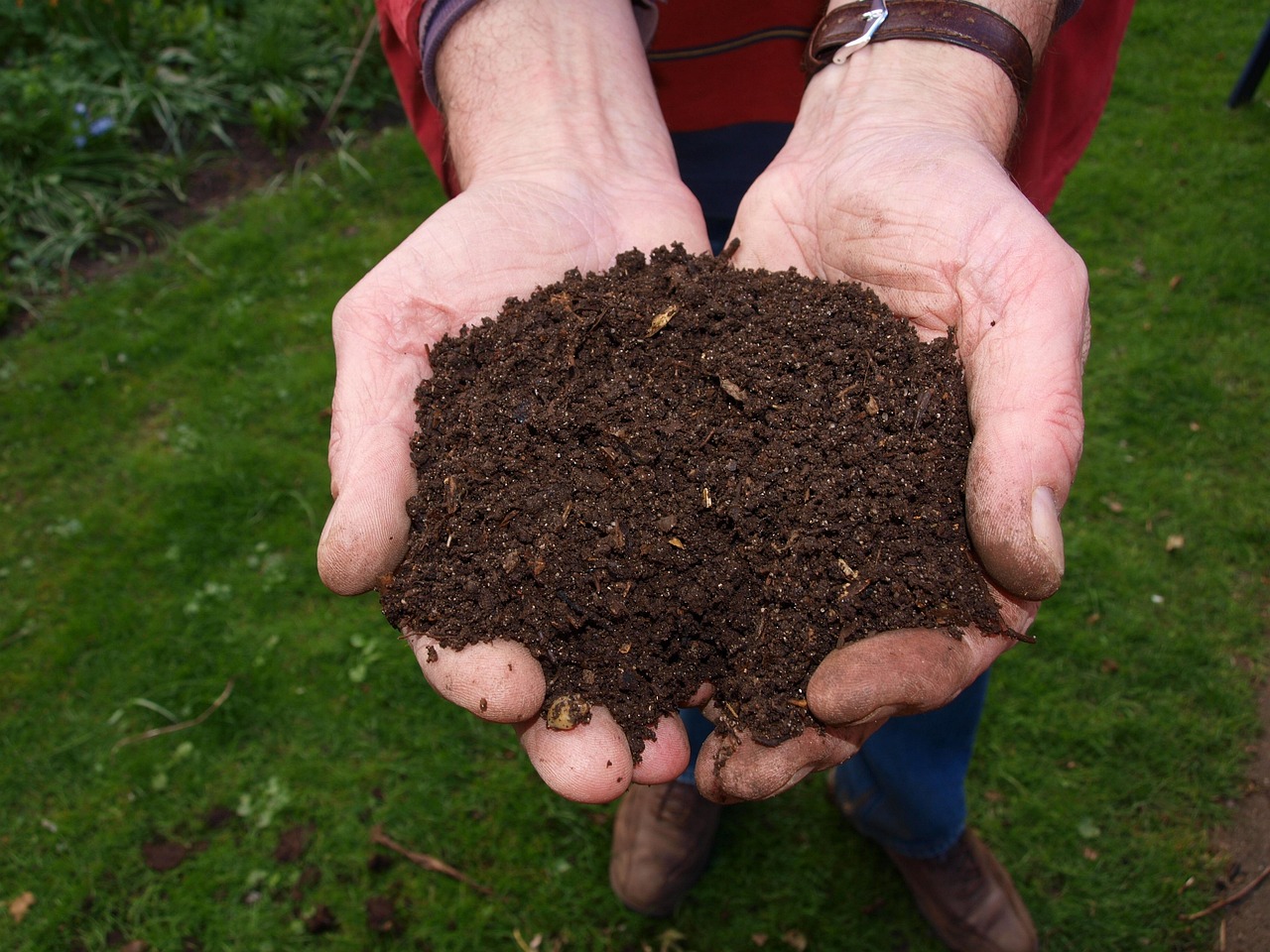 découvrez les principes du compostage, une méthode écologique pour recycler vos déchets organiques et enrichir naturellement vos sols. conseils, avantages et étapes pour bien composter à la maison ou au jardin.