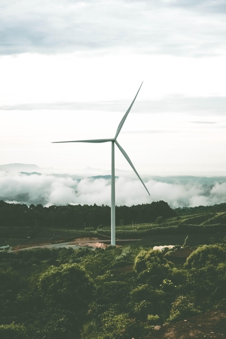 découvrez les énergies renouvelables, des solutions durables et écologiques pour un avenir énergétique propre et respectueux de l'environnement.