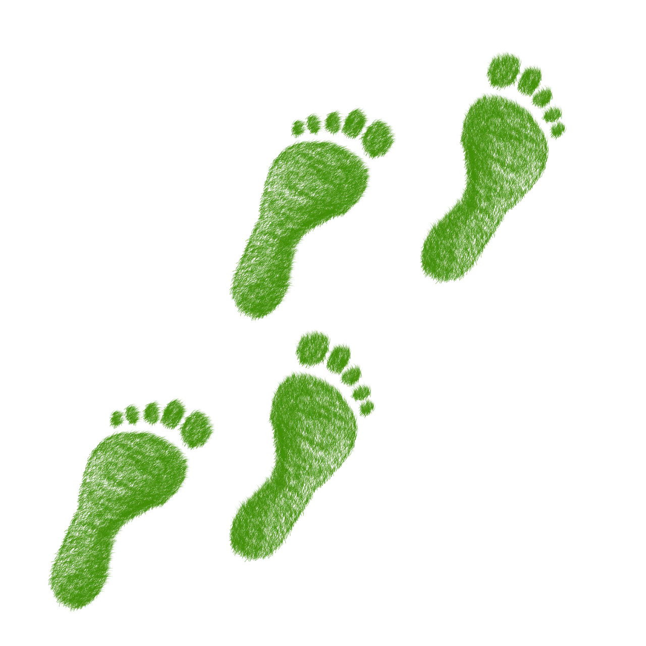 découvrez l'empreinte écologique, un indicateur essentiel qui mesure l'impact de nos activités sur la planète. apprenez comment réduire votre empreinte et adopter un mode de vie plus durable pour préserver notre environnement.