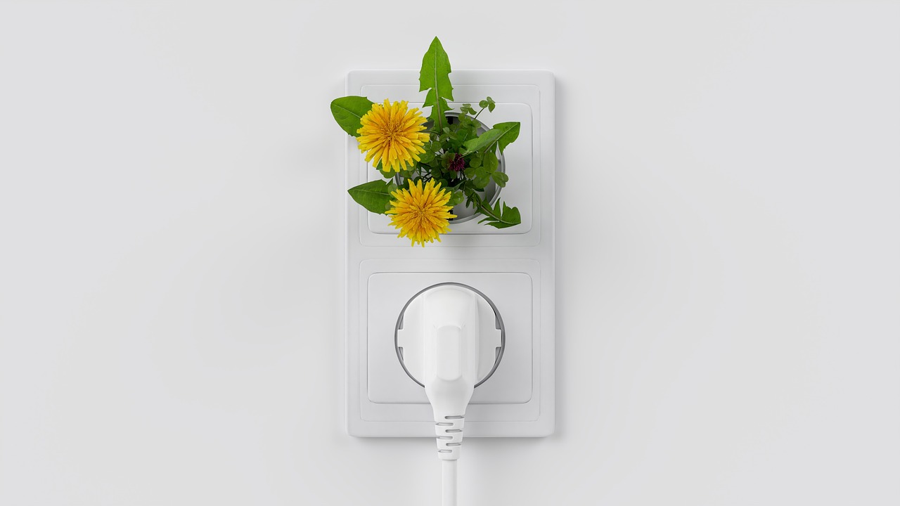 découvrez les enjeux et solutions de la transition écologique pour un avenir durable et respectueux de l'environnement.