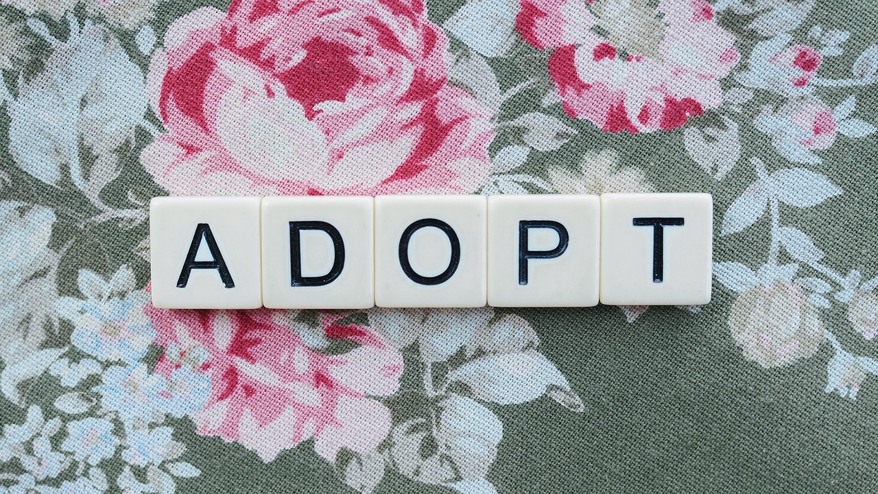 Consommation responsable : 10 astuces pour adopter un mode de vie éthique