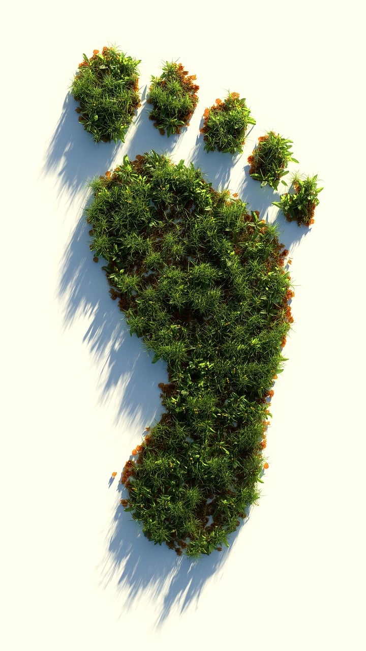 Découvrez l’empreinte écologique de votre présence en ligne : explorez notre simulateur sur l’impact des réseaux sociaux sur la planète.