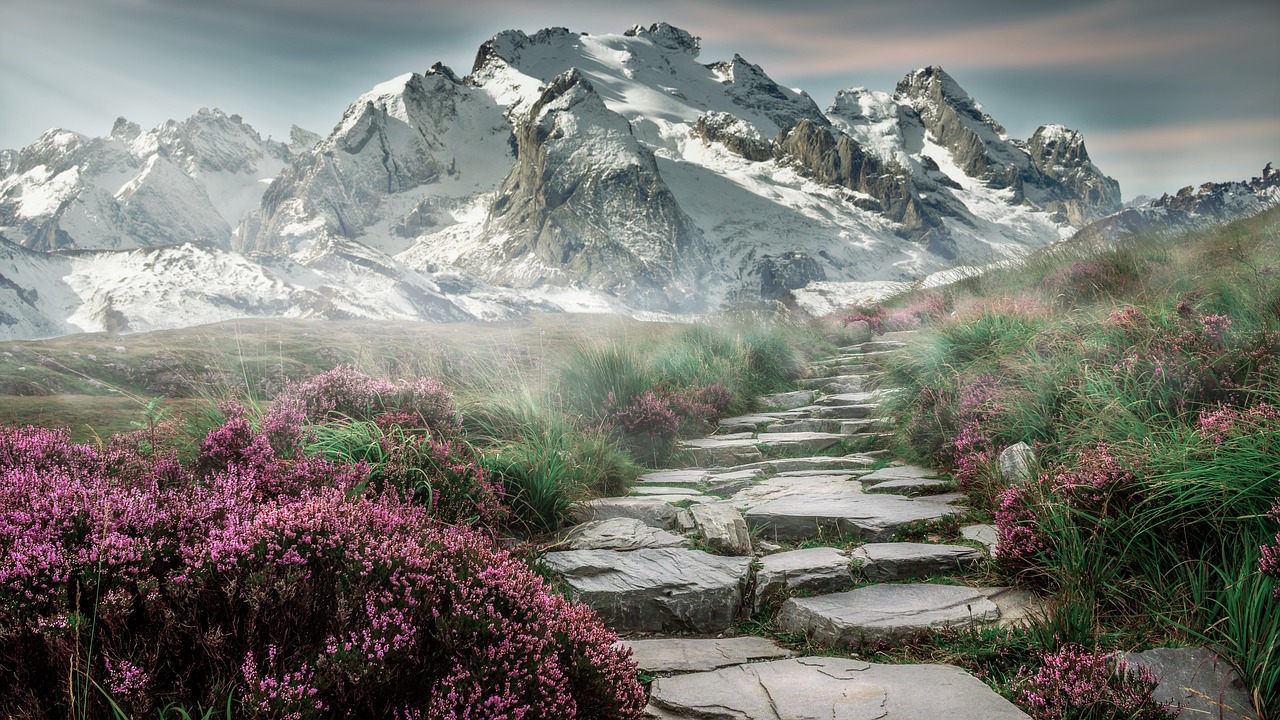 Zones protégées : Importance de la conservation de la biodiversité