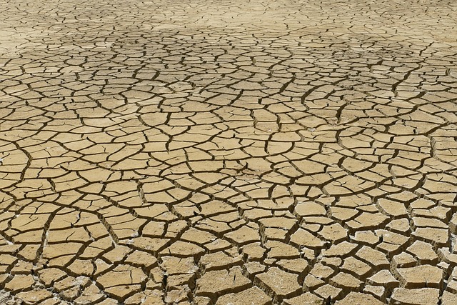 Changement climatique : comprendre les enjeux et les solutions