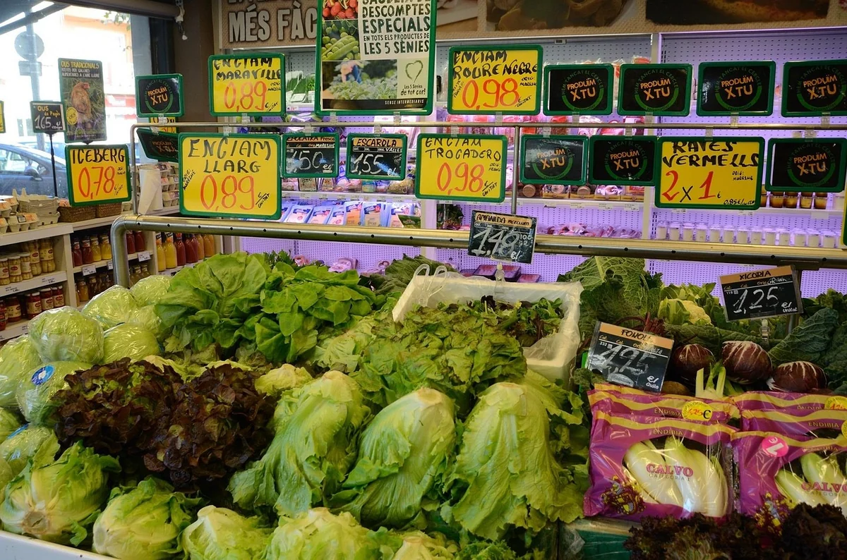 Acheter écolo : découvrez pourquoi la majorité de ces produits verts pourraient vous induire en erreur