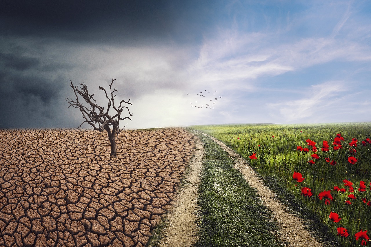 Changement climatique : des impacts de plus en plus visibles et préoccupants