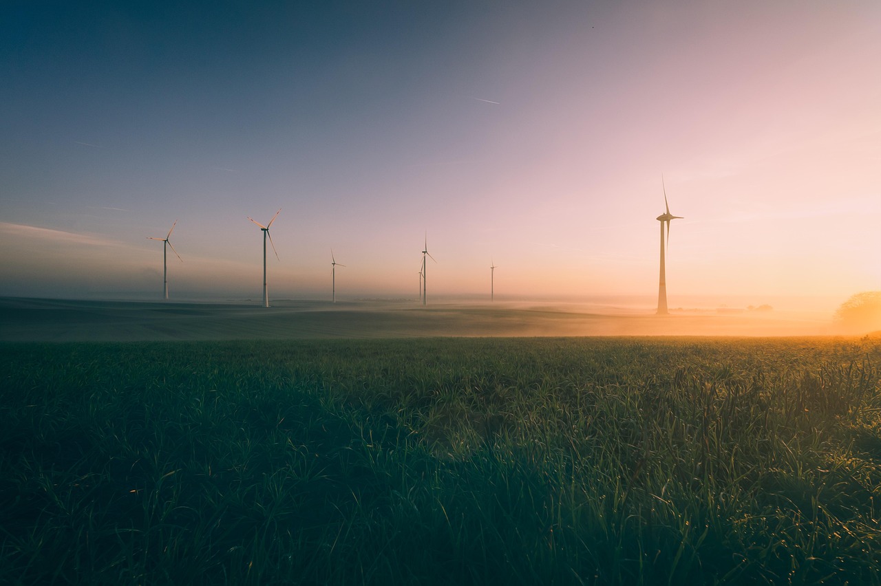 Notre promesse envers la planète : un engagement pour l’environnement