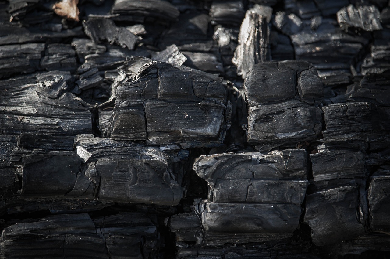Bilan carbone : vers une économie décarbonée