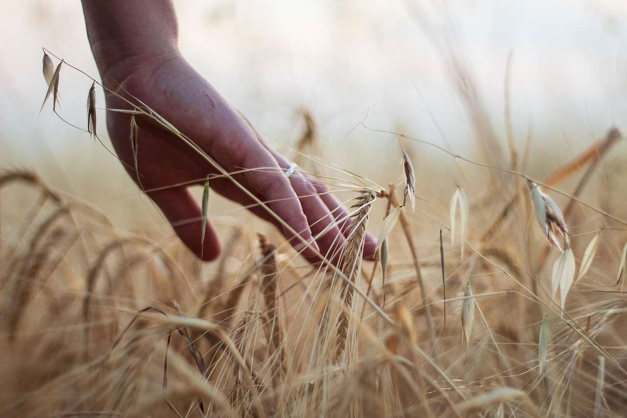 « Depuis mon enfance, l’agriculture me passionne réellement » : Les ambitions révolutionnaires du patron de Dyson