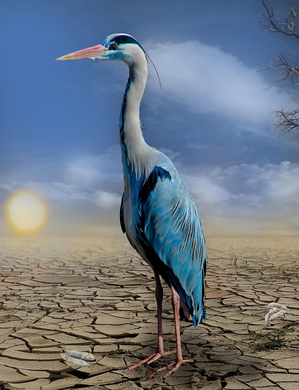 Agir ensemble pour freiner le changement climatique