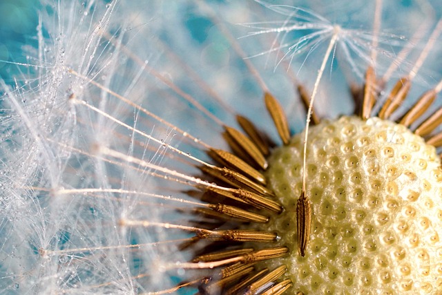 Ce geste courant pour vos plantes les affaiblit insidieusement : découvrez pourquoi