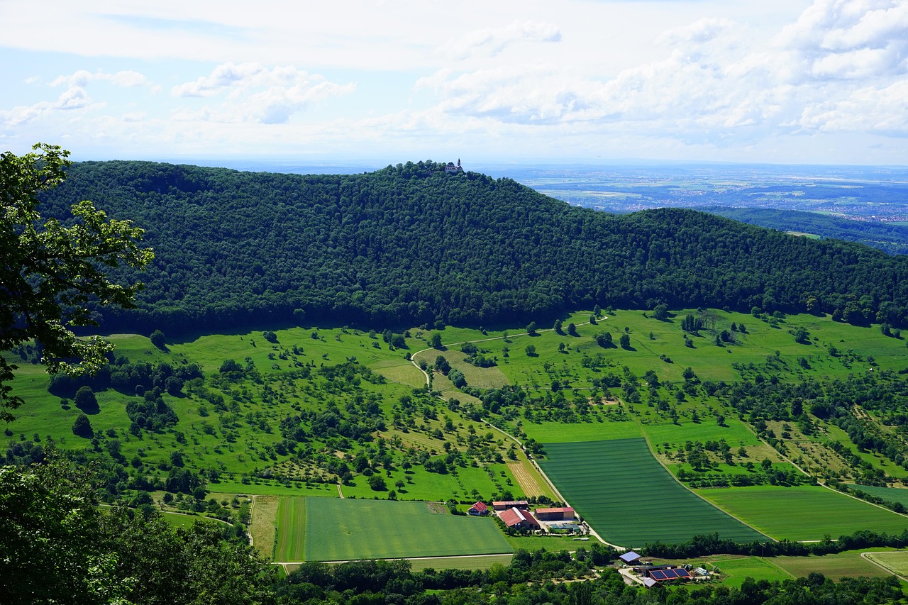 Arbre et Paysage 32 : une dynamique active face aux incertitudes financières