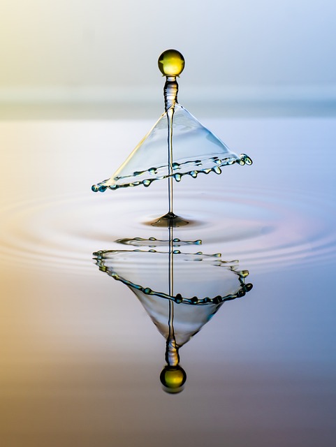 Ressources en eau : Comprendre leur gestion durable et leur impact sur l’environnement