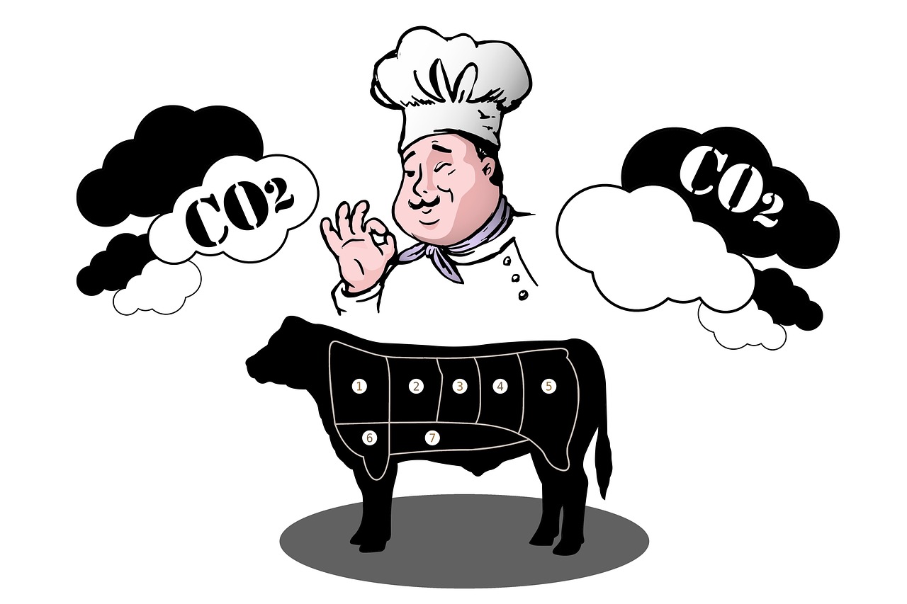 Qu’est-ce que le bilan carbone et pourquoi est-il essentiel ?
