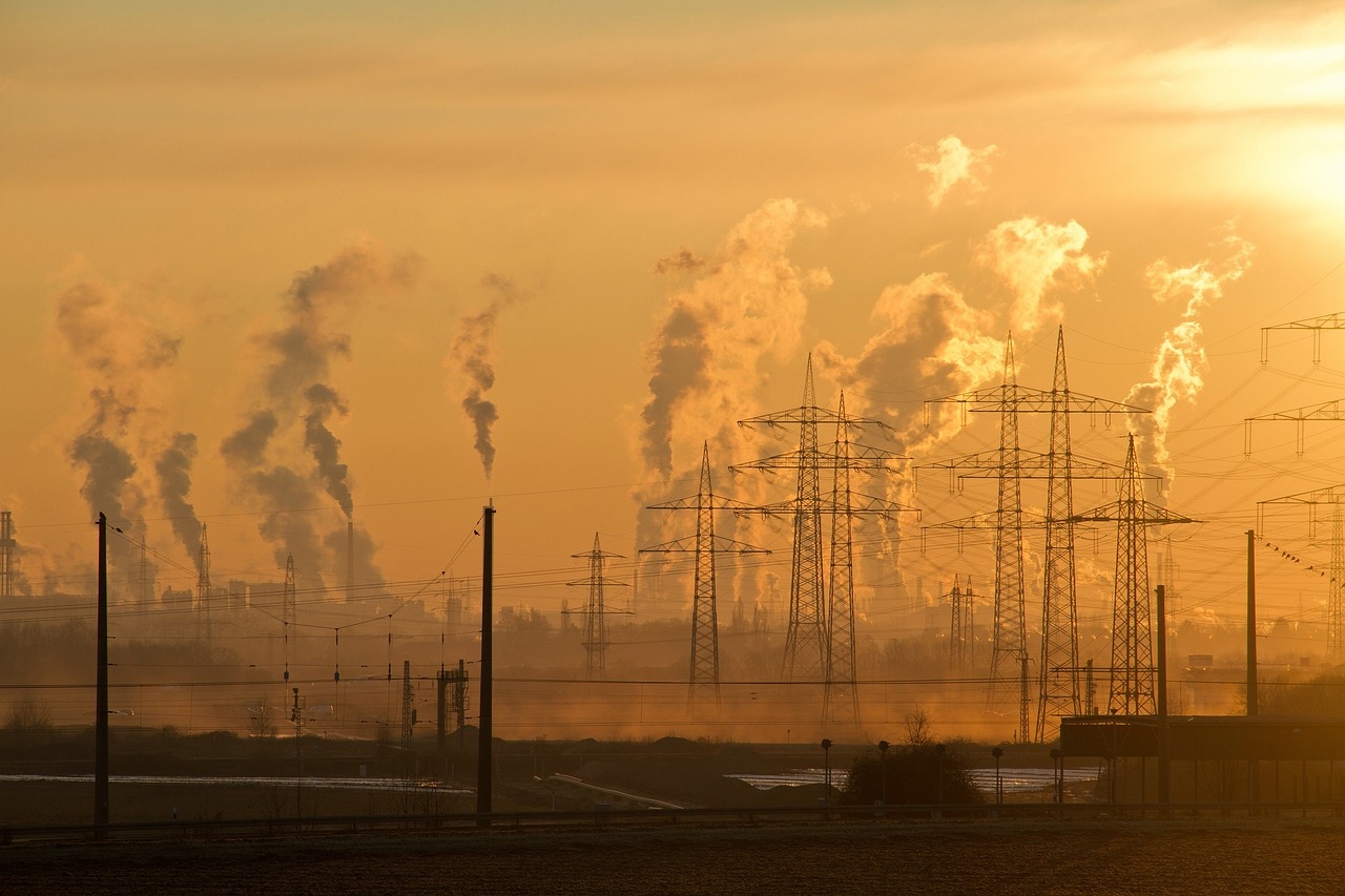 Découvrez tous nos articles consacrés à l’impact environnemental