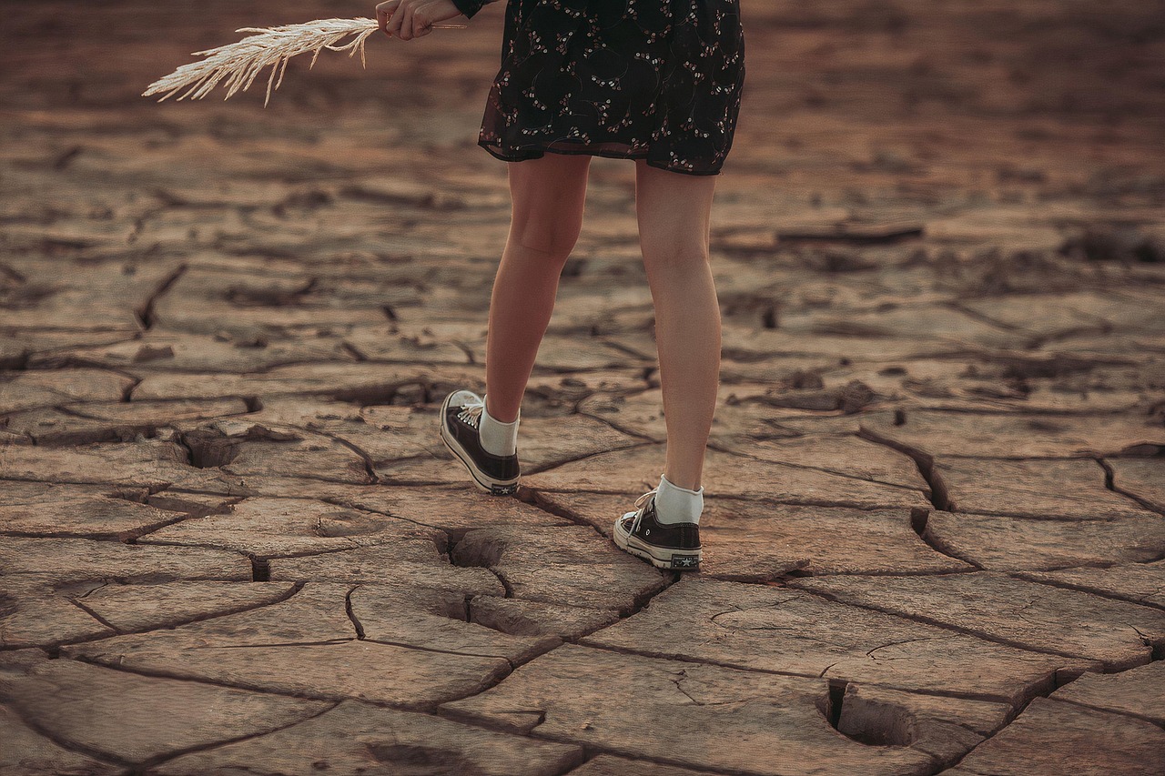 L’impact du changement climatique sur l’agriculture : un regard sur le bilan carbone