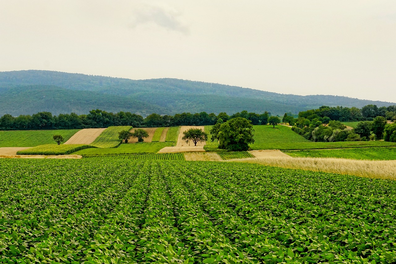 Les avantages de l’agriculture régénérative pour le bilan carbone
