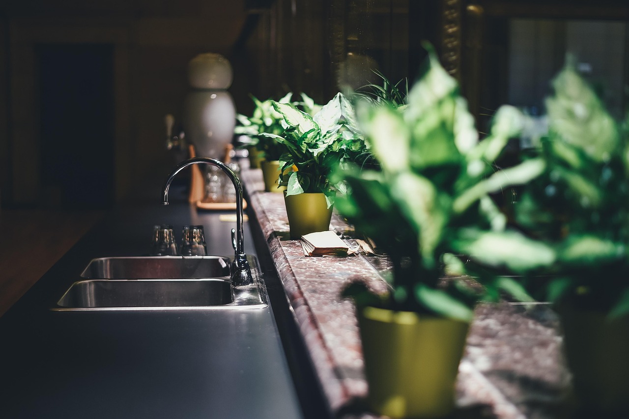 Gourde en inox : combien de temps pour rentabiliser son impact écologique ?