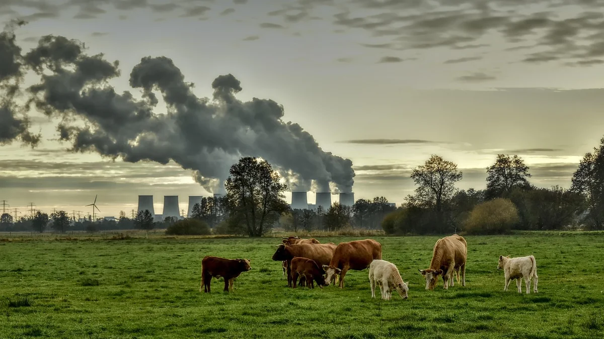 Climat : la Bretagne initie une transformation majeure pour réduire drastiquement ses émissions